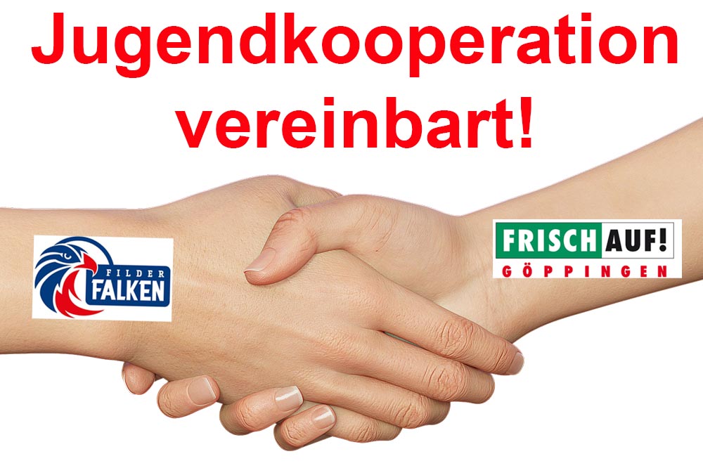 FRISCH AUF! Göppingen und JANO Filder starten richtungsweisende Kooperation im Nachwuchsbereich