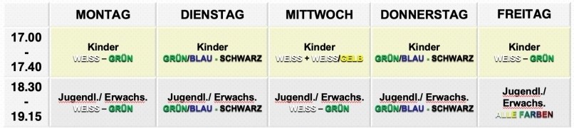 Der Trainingsplan